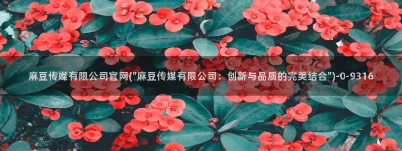麻豆影像传媒官网地址:麻豆传媒有限公司官网(\